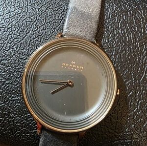 Skagen Gray and Gold Watch